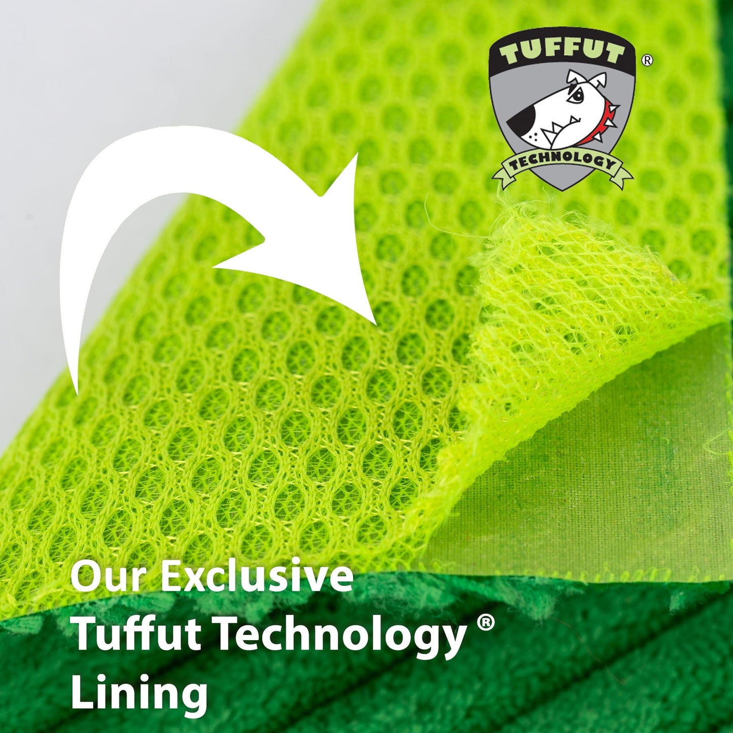 NCAA Cornell University, Big Red Bear Knottie® Plush Dog Toy